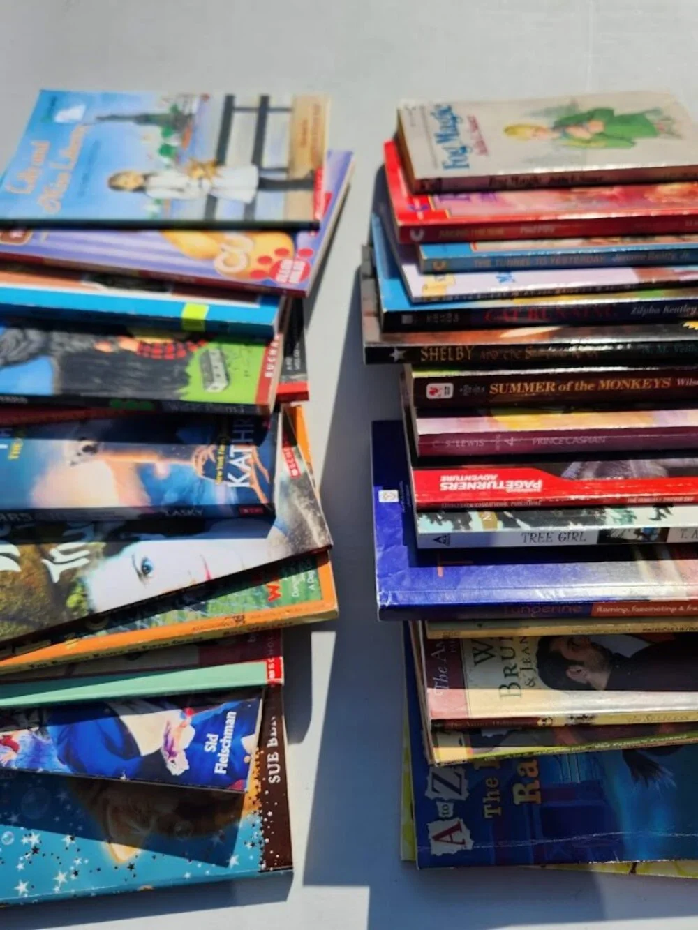 4 Book Bundle Lot Set Chapter Books Young Adult Literature Novels Mystery Books